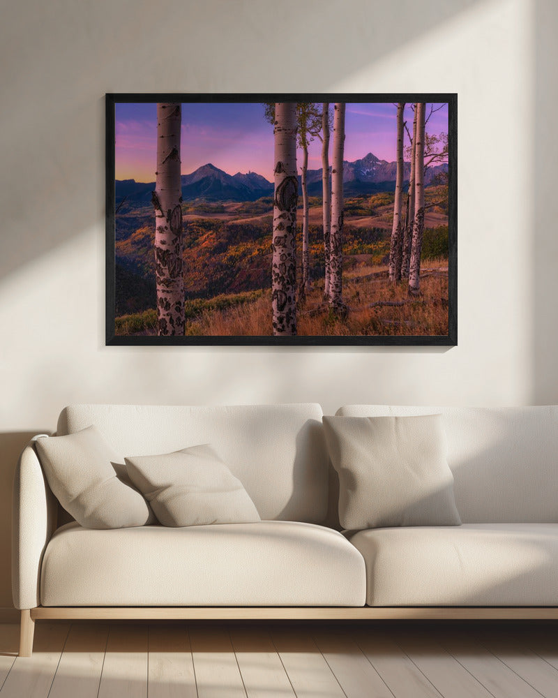 Aspen Frames | Canvas