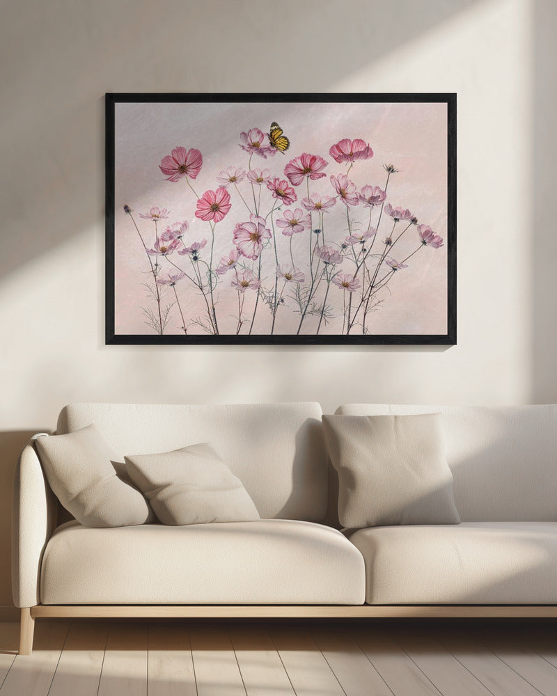 Cosmos and Butterfly | Canvas