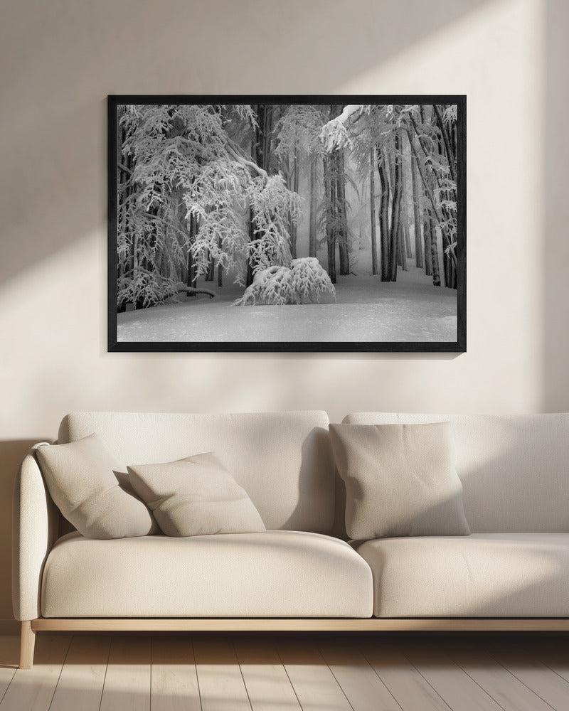 Perfect Winter | Canvas