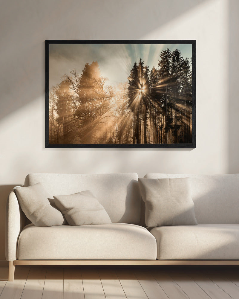 Fading away | Canvas