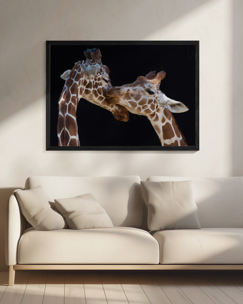 The kiss | Canvas