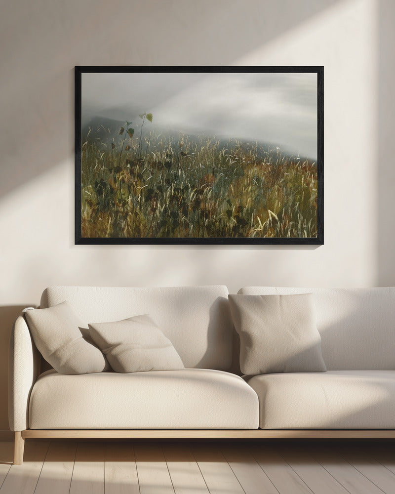 In the field | Canvas