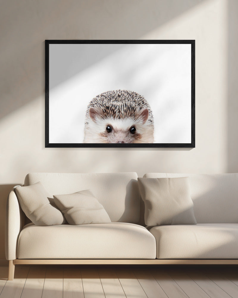Peeking Hedgehog | Canvas