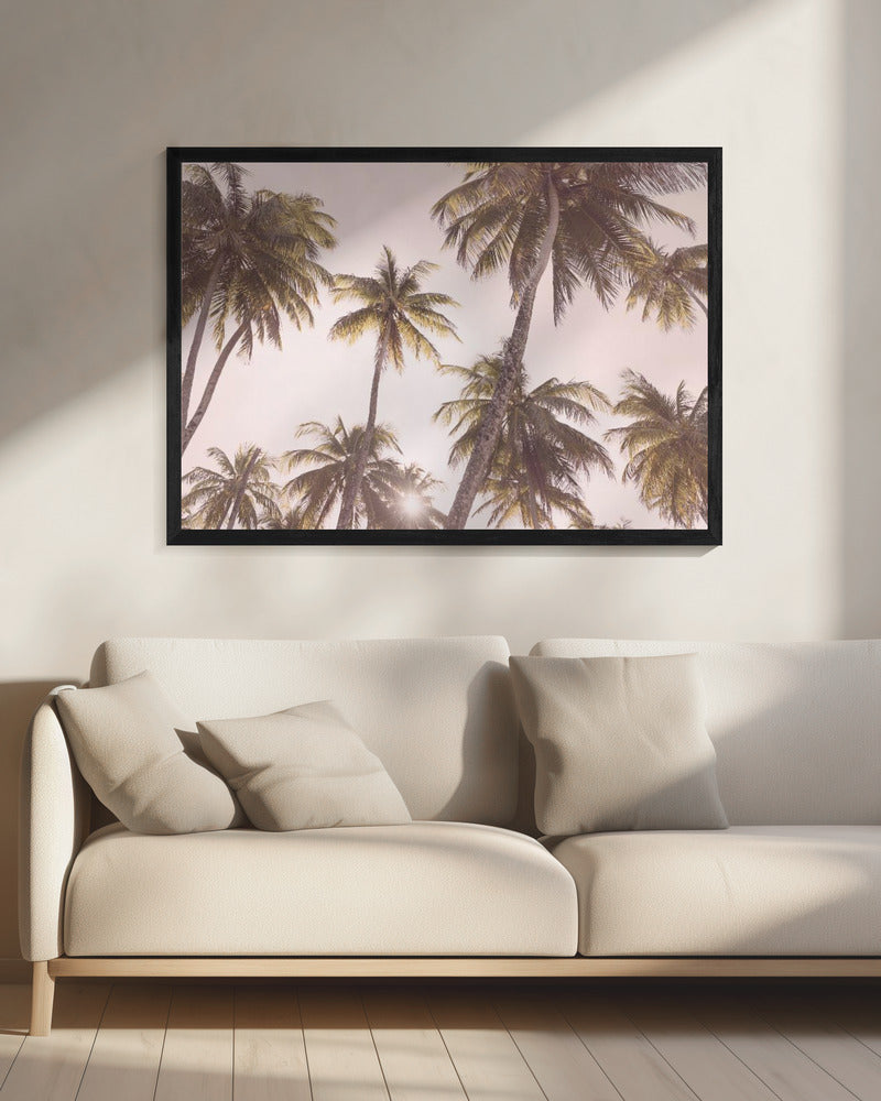 Blush Palm Trees | Canvas