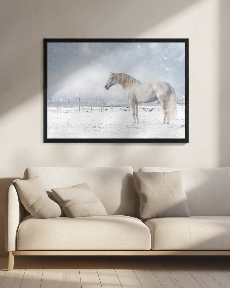 Let it snow... | Canvas