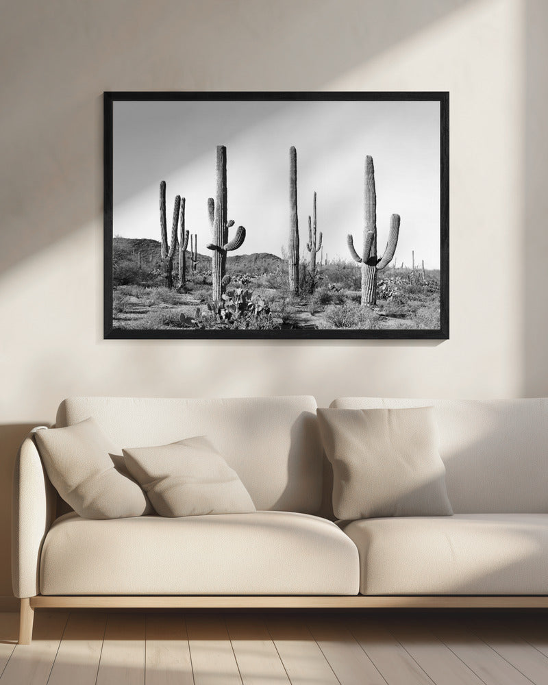 Grey Cactus Land | Canvas