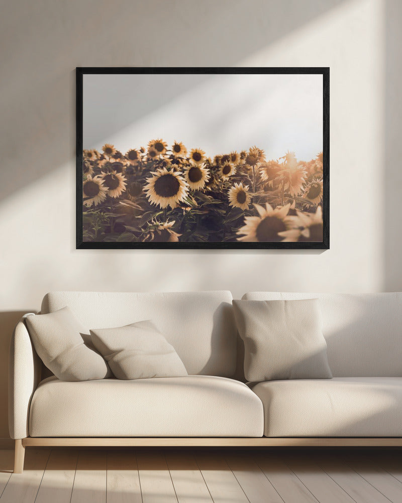 Sunflowers | Canvas