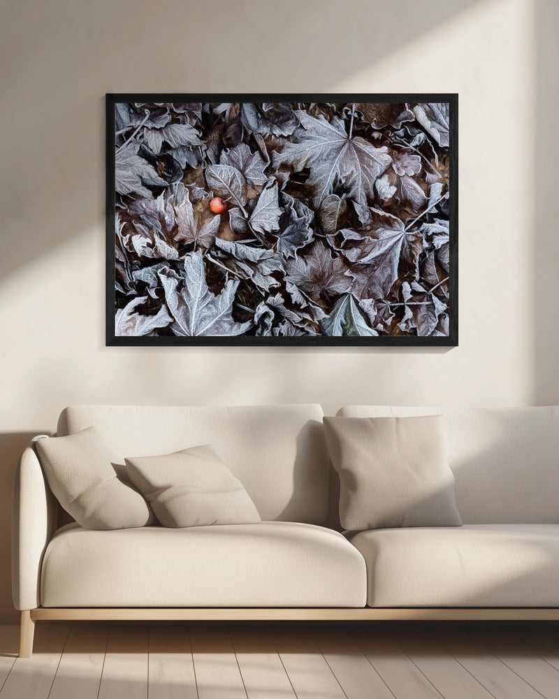Frozen leaves | Canvas