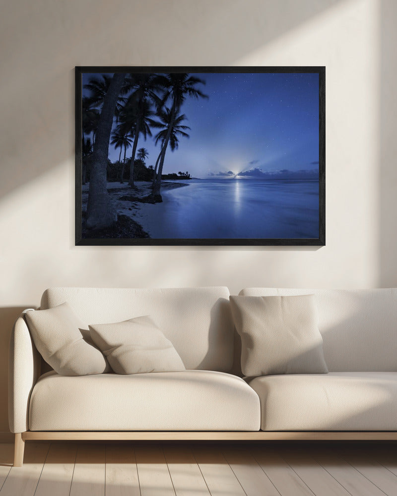 Tropical Moonrise | Canvas