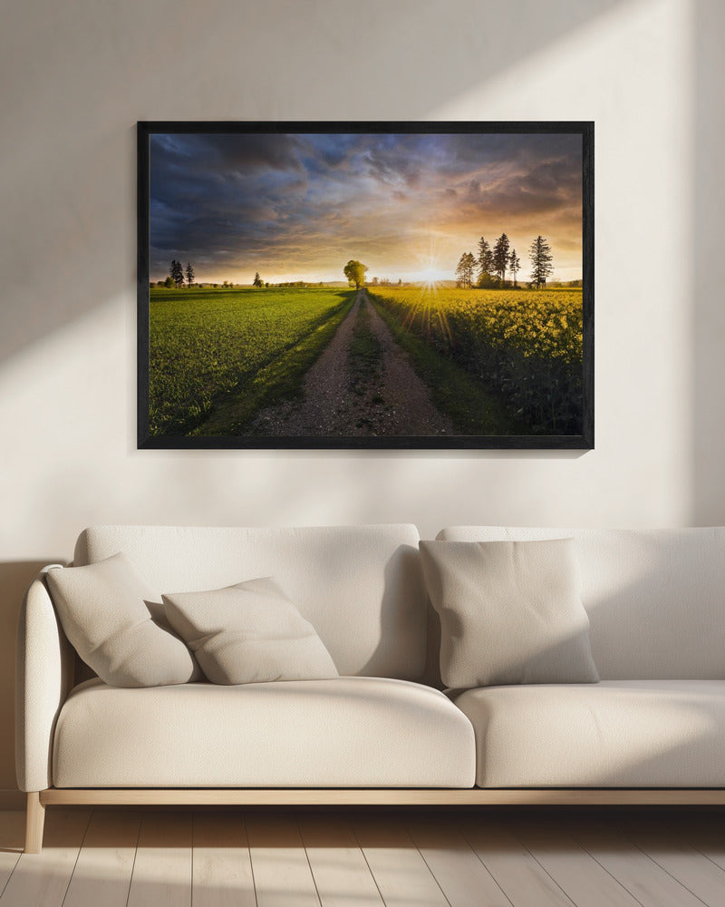 Summer Meadow | Canvas
