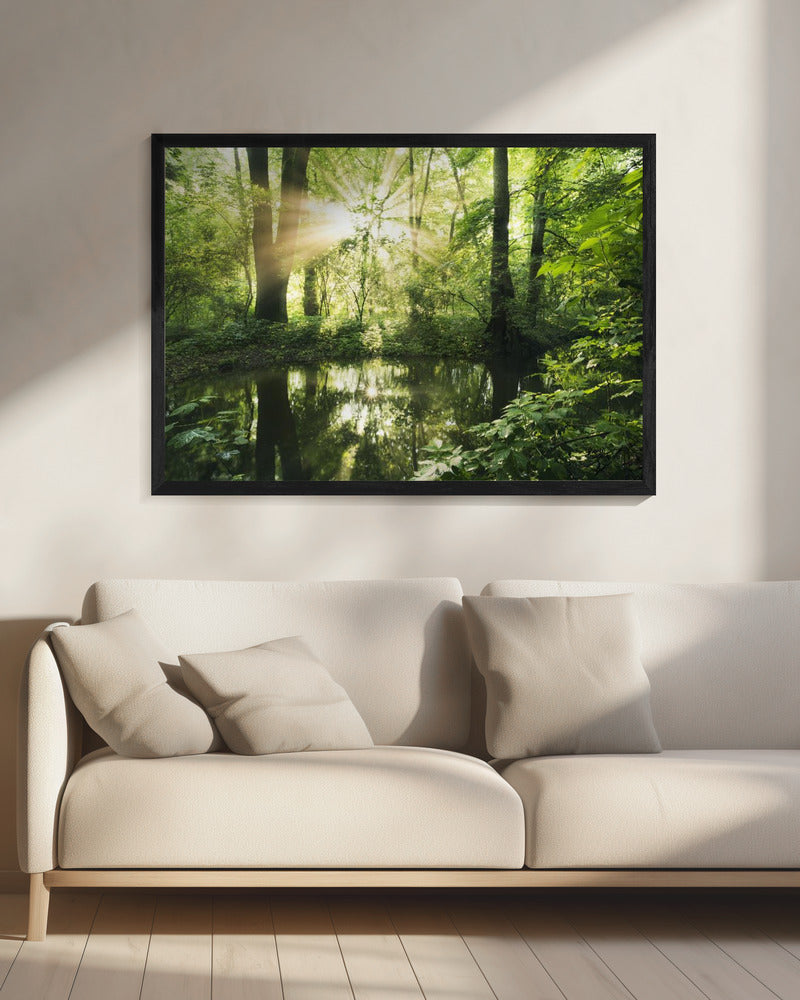 Green Park | Canvas