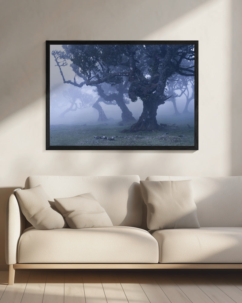 Blue Woods | Canvas