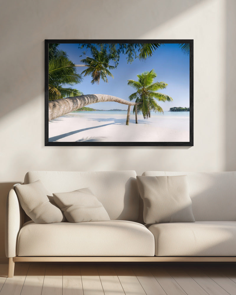 Tropical Palm | Canvas
