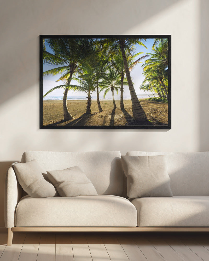 Tropical Morning | Canvas