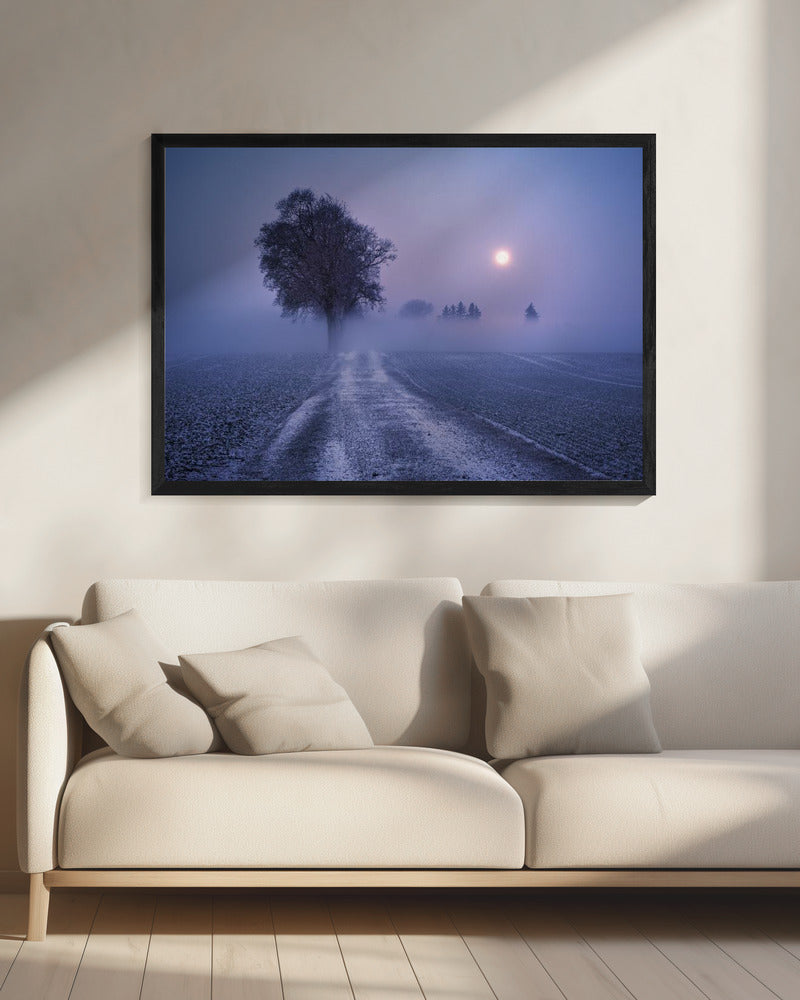 Moonlit Path | Canvas