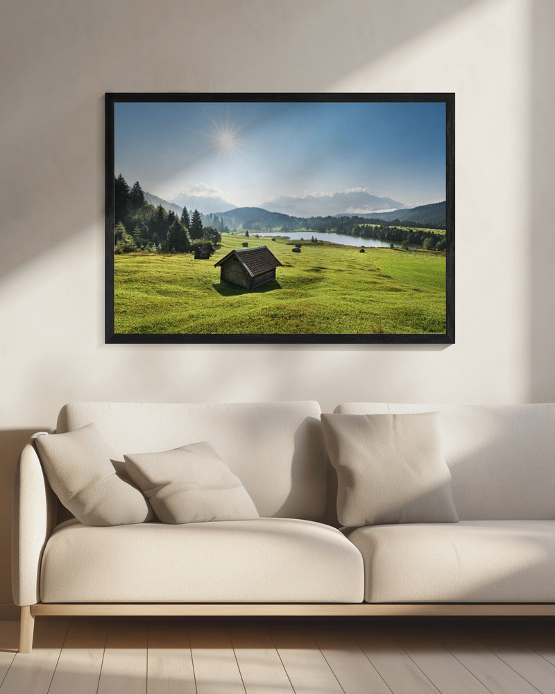 Summer Meadow | Canvas