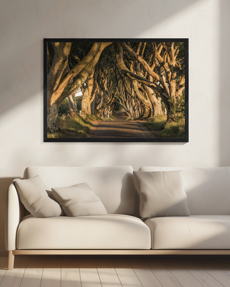 The Avenue | Canvas