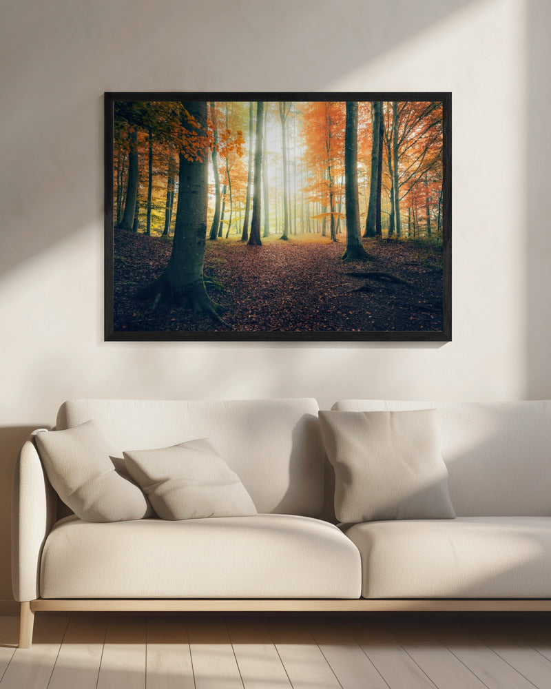 Autumn in the Woods | Canvas