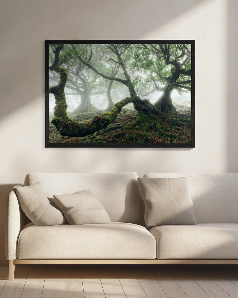 Mystic Laurel Forest | Canvas