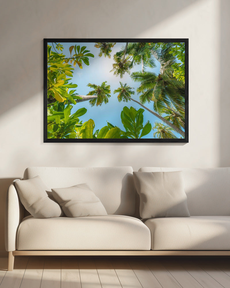 Tropical Up | Canvas