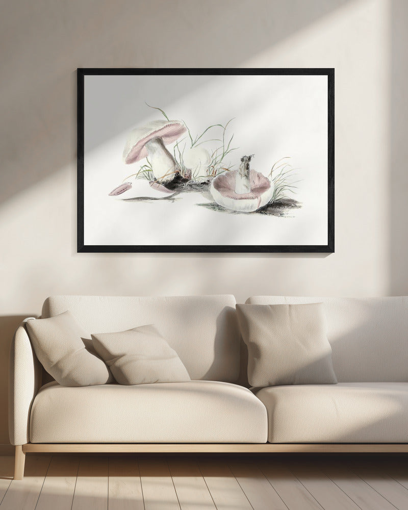 Hand Drawn Field Mushroom | Canvas