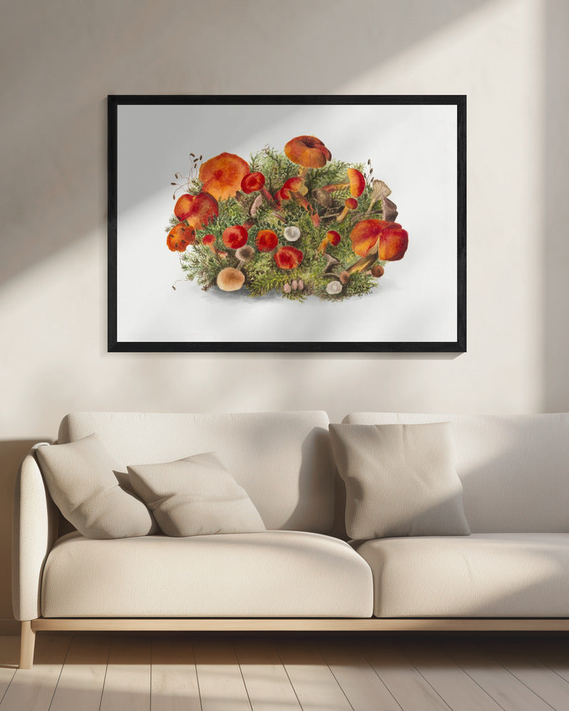 Study of Mushrooms (1880) Horizontal | Canvas