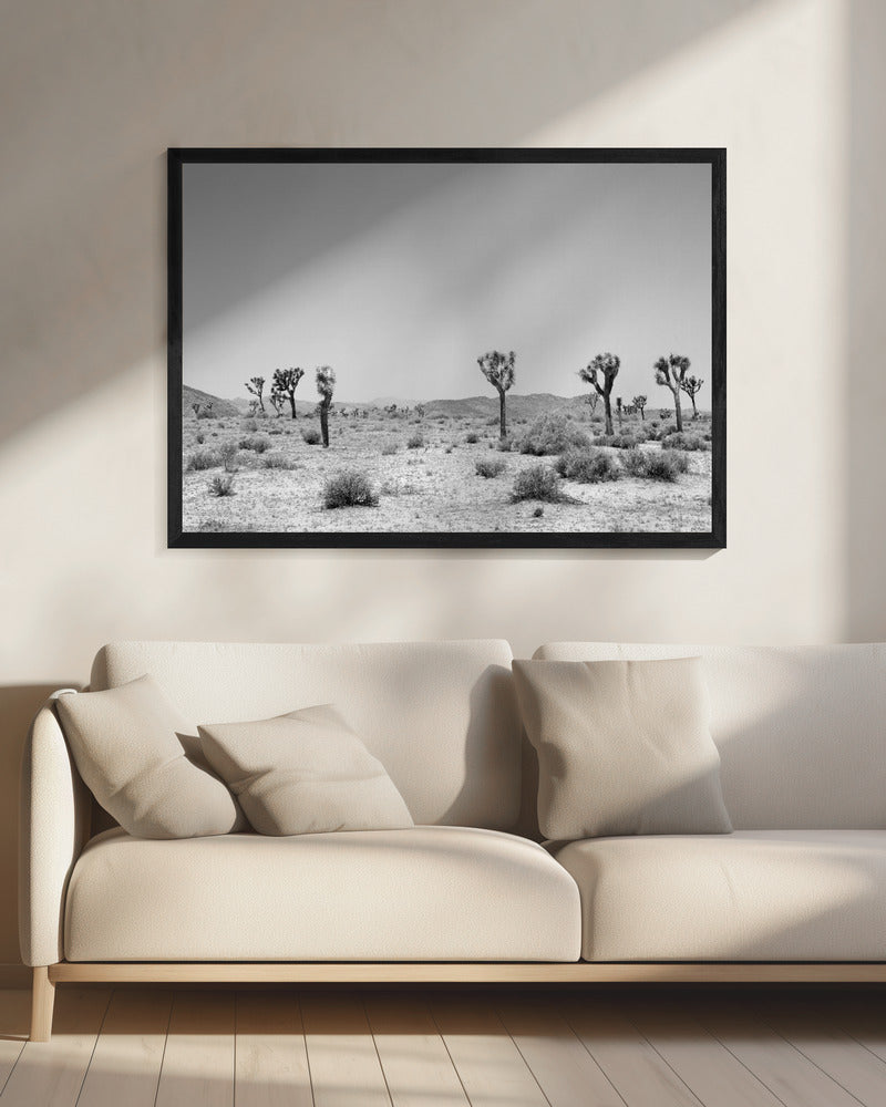 Desert Silence | Canvas