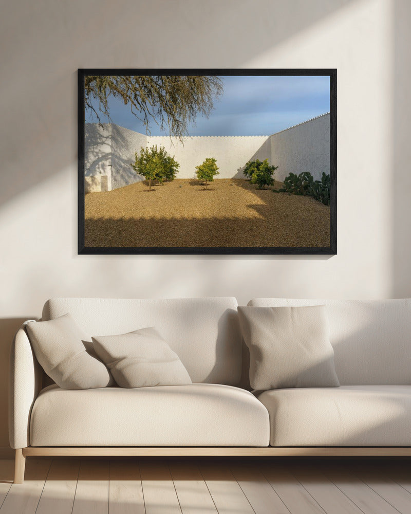 Casadavolta | Canvas