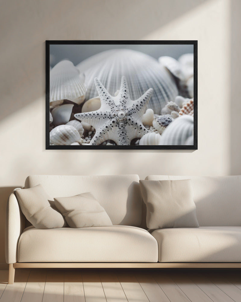 Seashell Symphony | Canvas