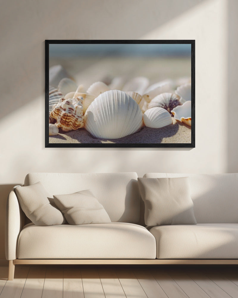 Seaside Shells | Canvas