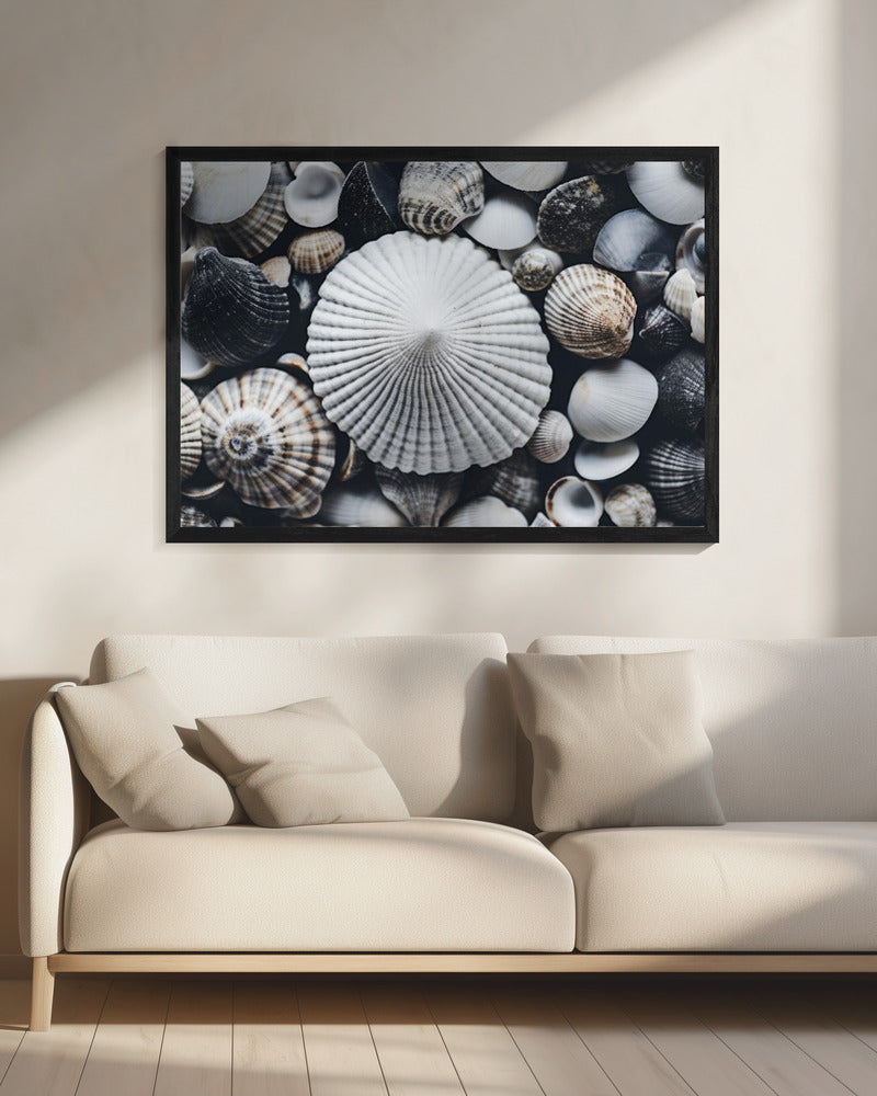 Shell Symphony | Canvas