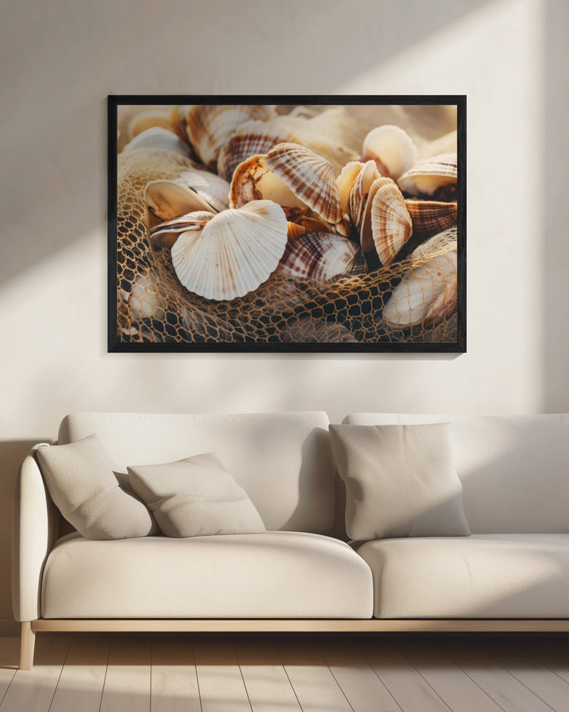 Seashell Symphony | Canvas