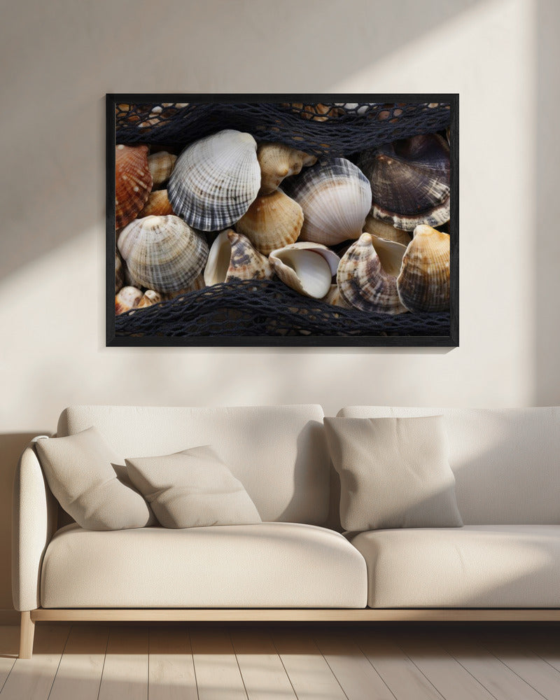 Seashell Tapestry | Canvas