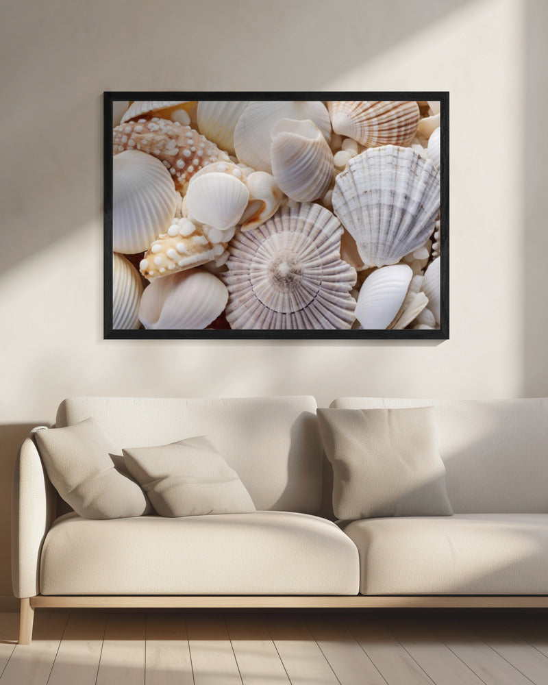 Seashell Symphony | Canvas
