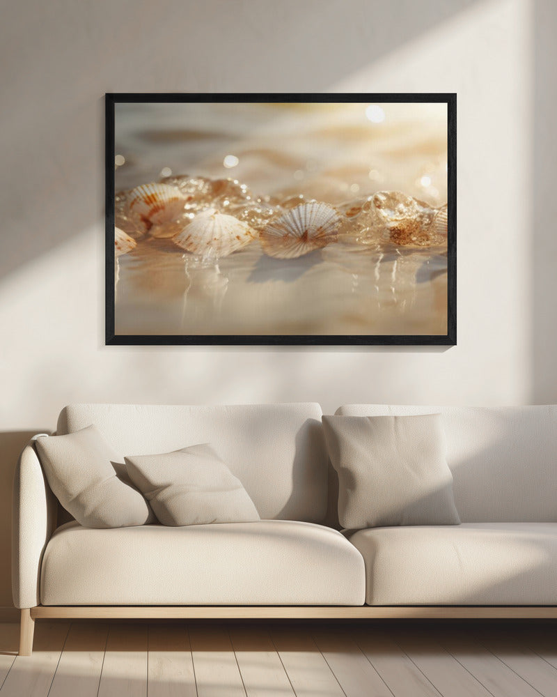 Seashell Serenade | Canvas
