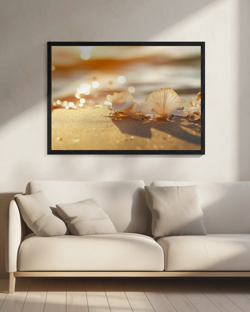 Sunlit Seashells | Canvas