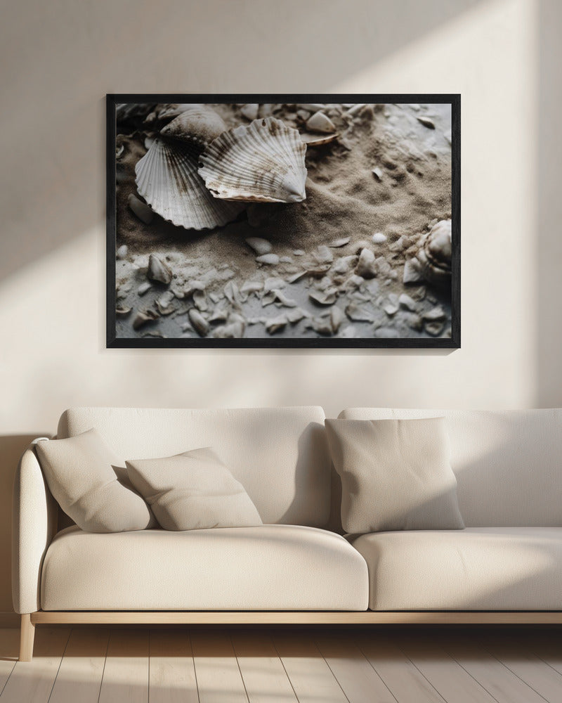 Seashell Serenity | Canvas