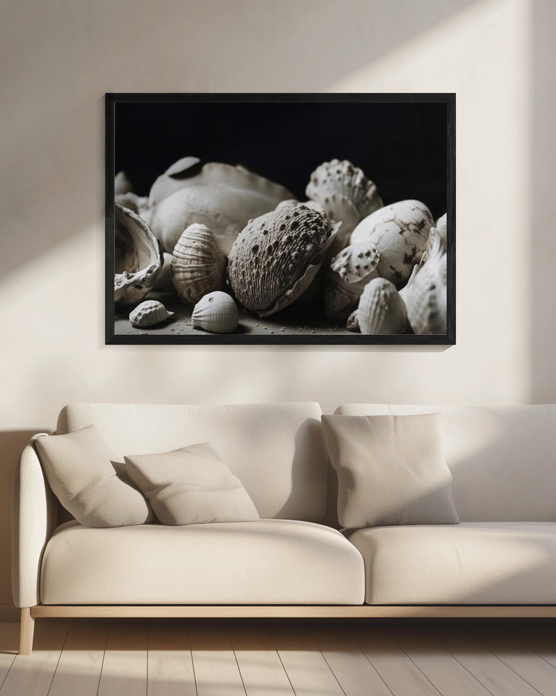 Shell Symphony | Canvas