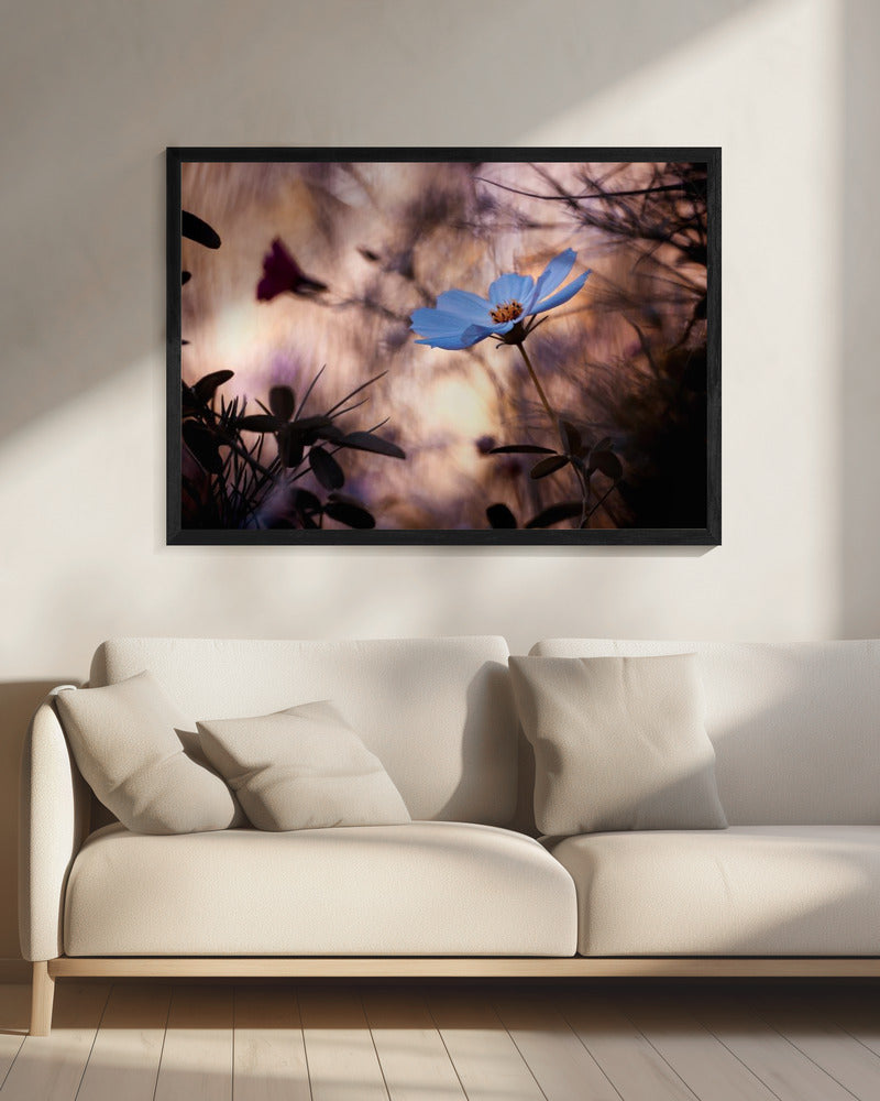 L'indiffÃ©rence | Canvas