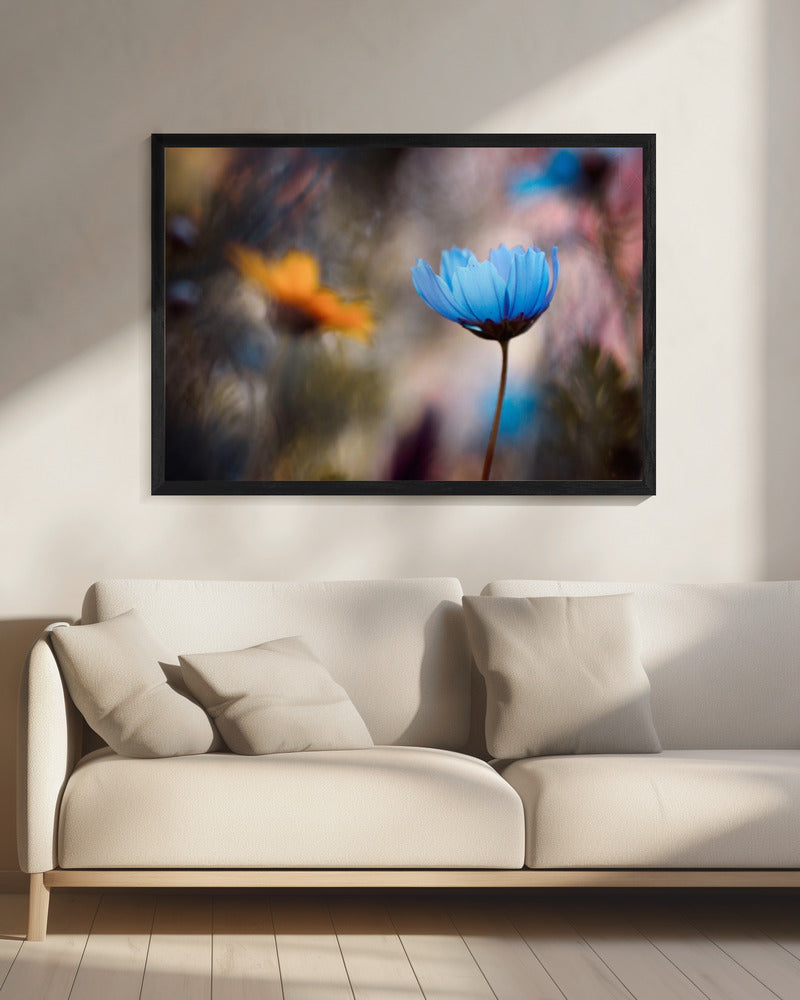 Do you wanna dance with me | Canvas