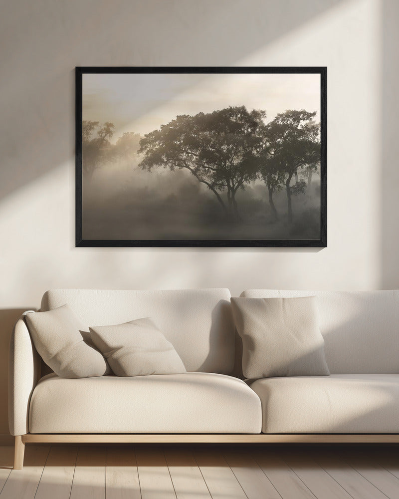 SAVANA SUNRISE | Canvas