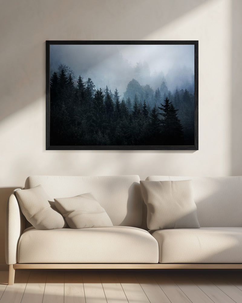 Foggy Woods 5 | Canvas
