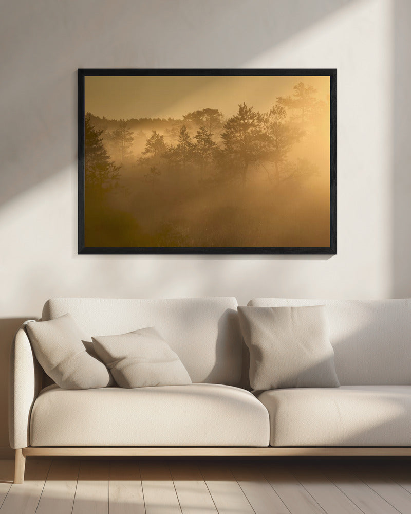 20220809  Dsf8002 1 | Canvas