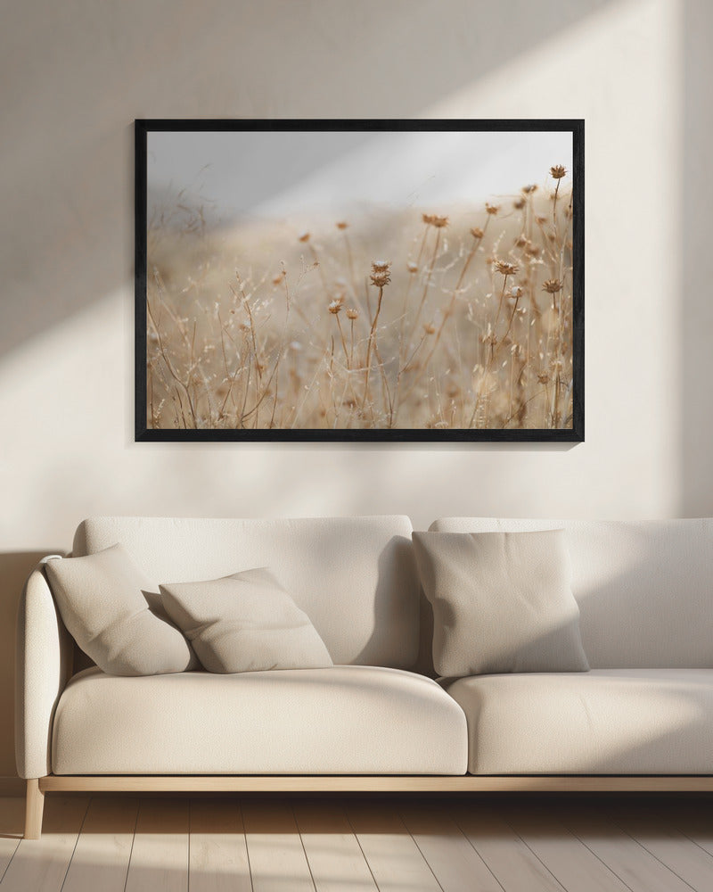 winter thistle no.2 | Canvas
