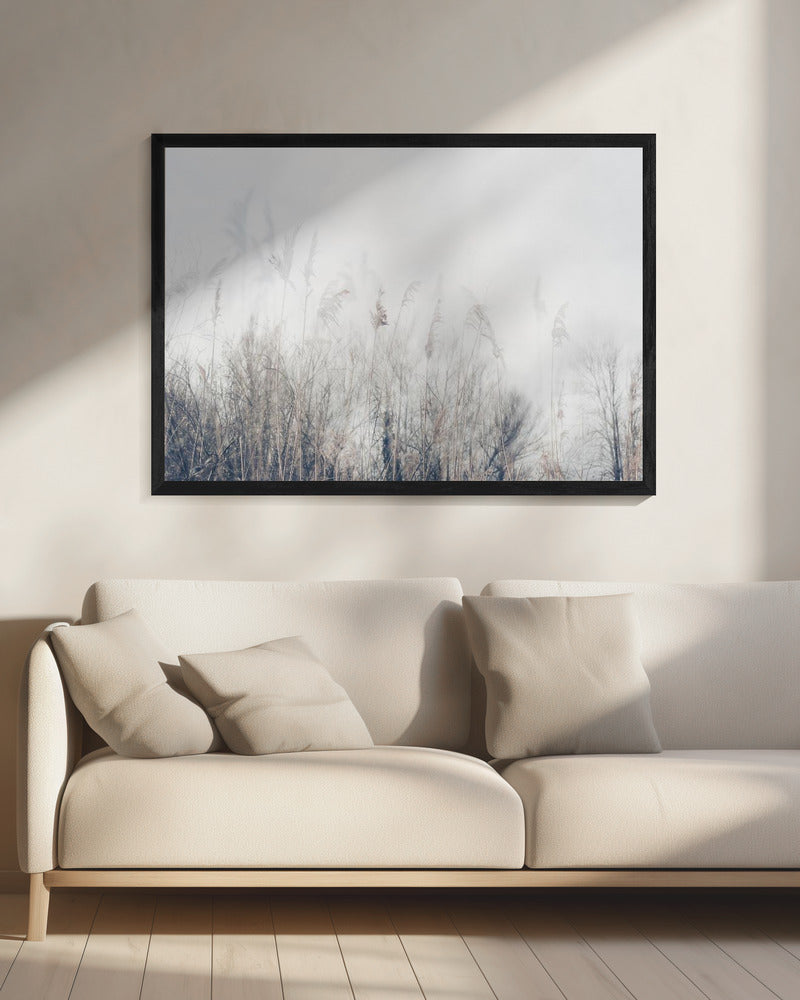 Landscape of reeds and grass | Canvas