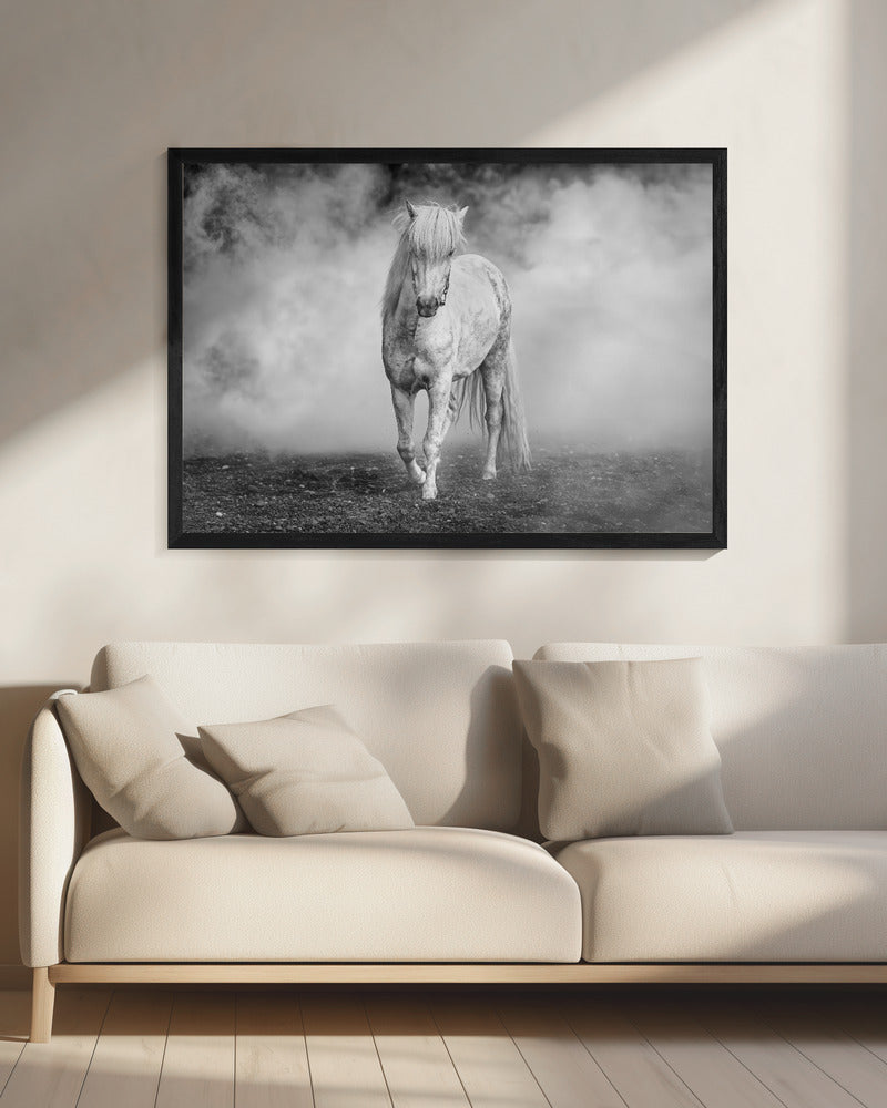 And there came a white horse | Canvas