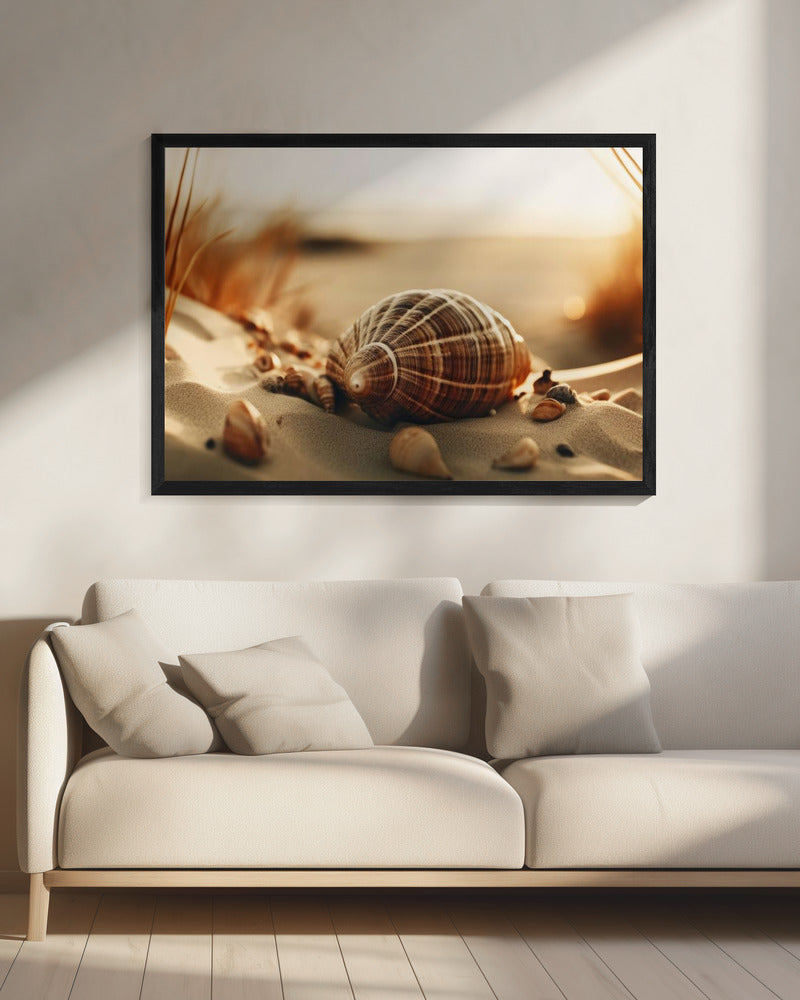 Dunes&#039; Silent Shells | Canvas