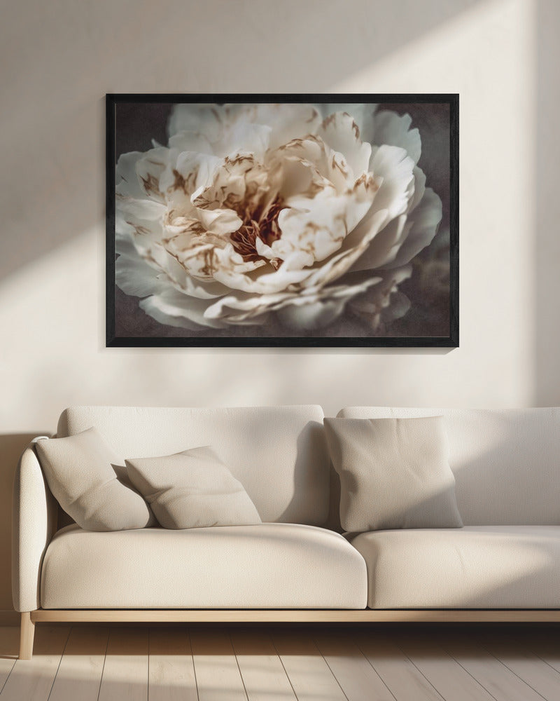 Petals of Serenity | Canvas