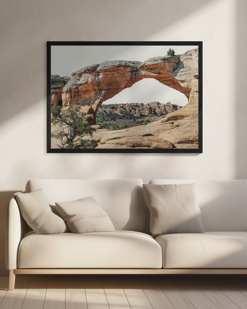 View to the West | Canvas