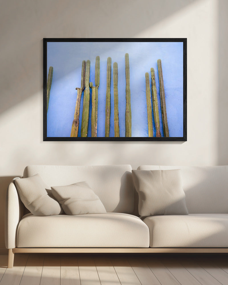 Tall Cacti on Blue | Oaxaca Mexico Travel | Canvas